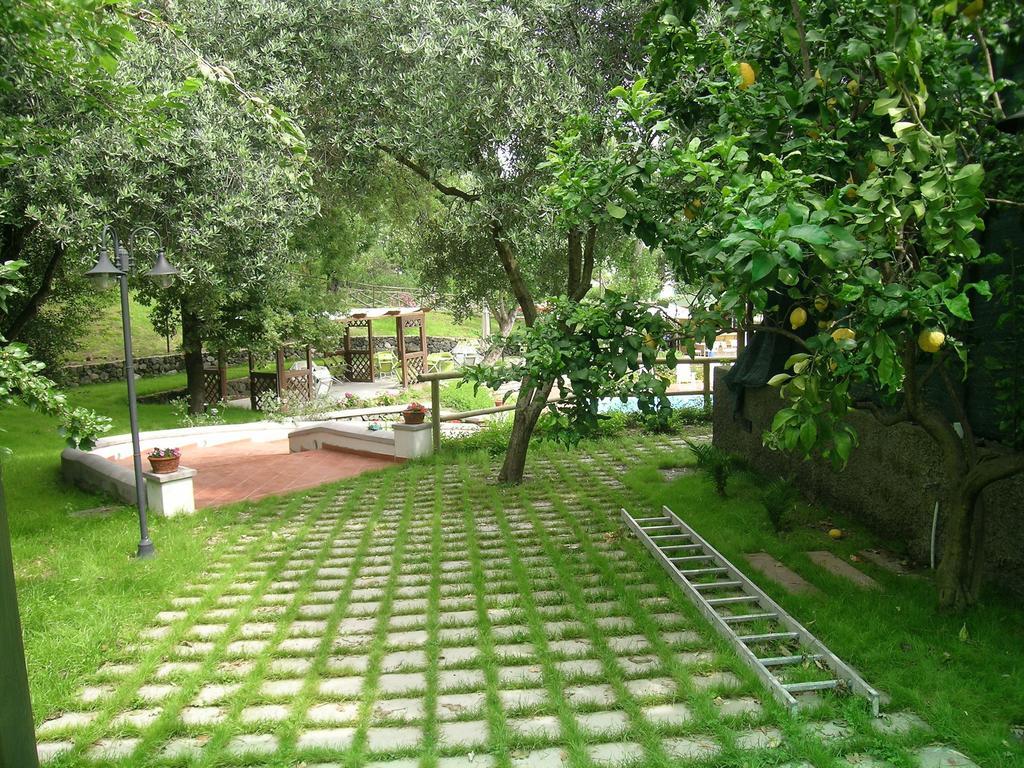 Residence Aegidius Ischia Oda fotoğraf